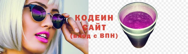 мдпв Гусев