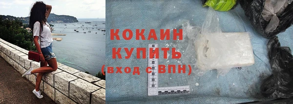 шишки Горнозаводск