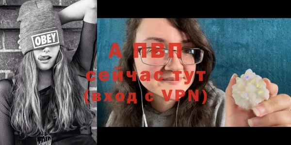 шишки Горнозаводск