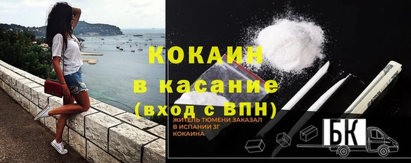 шишки Горнозаводск