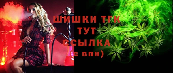 шишки Горнозаводск