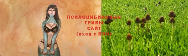 шишки Горнозаводск