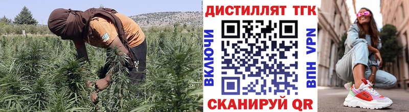 Дистиллят ТГК жижа  Купить  Новозыбков 