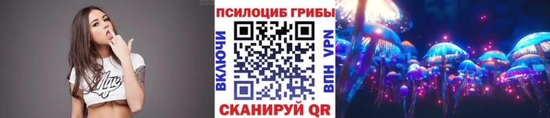 Галлюциногенные грибы Cubensis  Купить где  Новозыбков 
